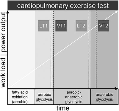 A Pilot Study on the Association of Mitochondrial Oxygen Metabolism and Gas Exchange During Cardiopulmonary Exercise Testing: Is There a Mitochondrial Threshold?